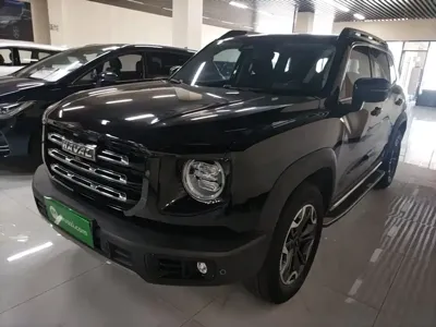 Haval Big Dog