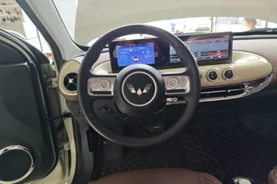 Wuling Bingo