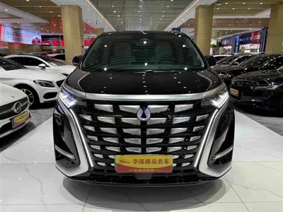 Denza Denza D9