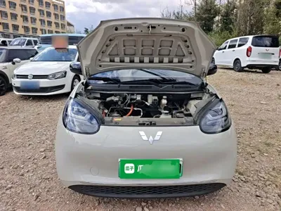 Wuling Bingo