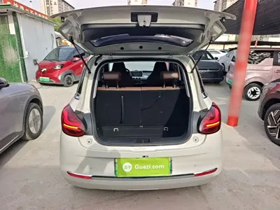 Wuling Bingo