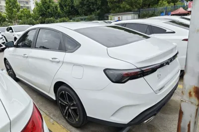 Geely Auto Binray