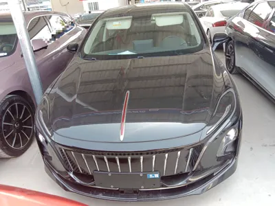 Hongqi E-QM5