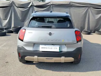MINI MINI ACEMAN EV