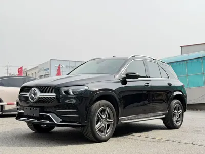 Mercedes-Benz 奔驰GLE(进口)