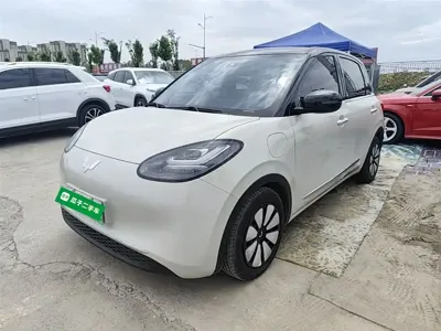 Wuling Bingo