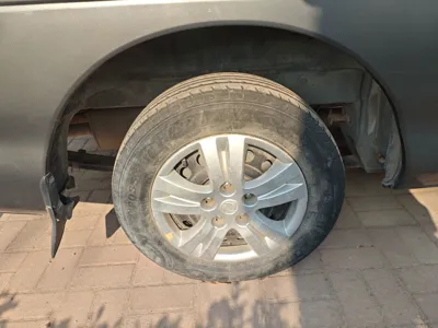 Forthing Lingzhi