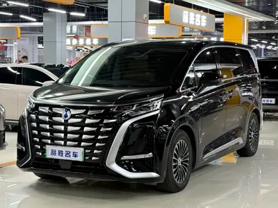 Denza Denza D9