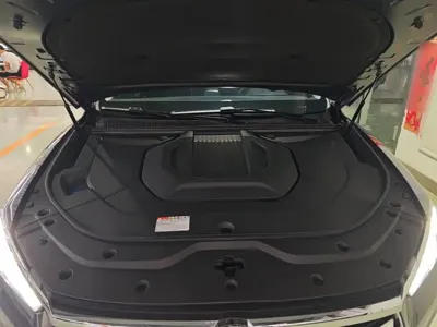 BYD Pro New Energy