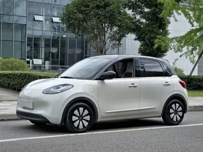 Wuling Bingo