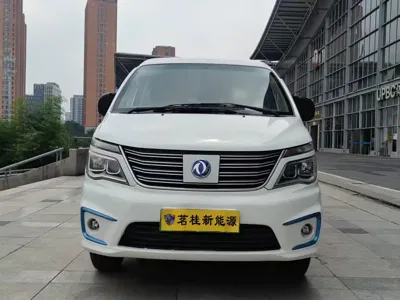 Fengxing Lingzhi New Energy
