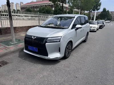 Wuling 星光730