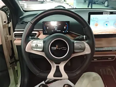 BYD Seagull