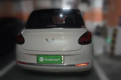 Wuling Bingo