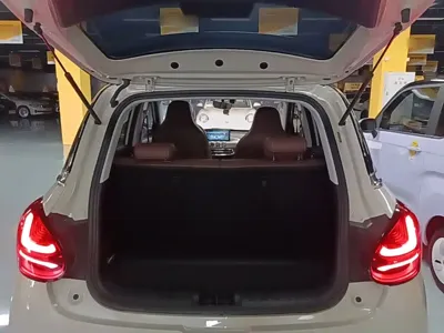 Wuling Bingo