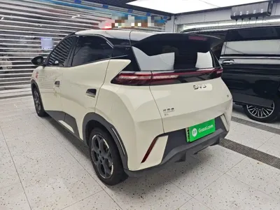 BYD Seagull