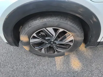 NETA Neta U