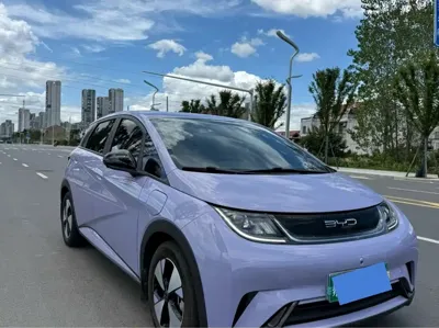 BYD Dolphin