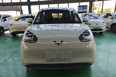 Wuling Bingo