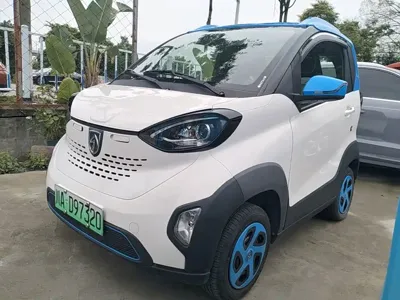 Baojun E100