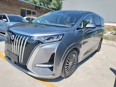 Denza Denza D9