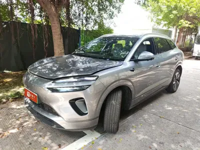 BYD 海狮06