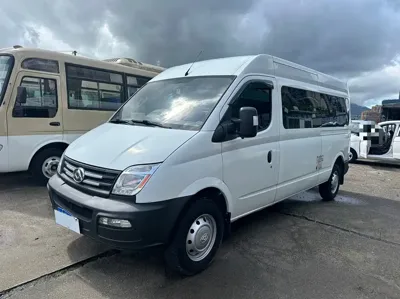 Maxus V80