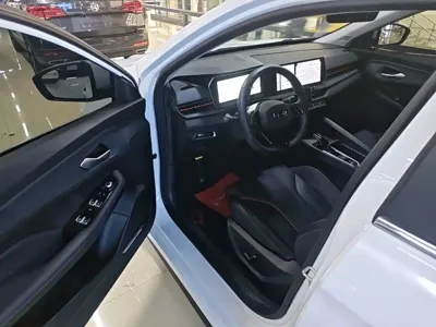 Geely Binrui