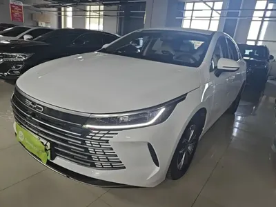 BYD Destroyer 05