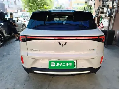 Wuling 缤果S