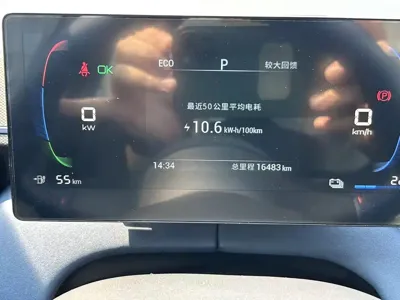 BYD Seagull
