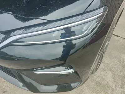 BYD L EV