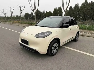 Wuling Bingo