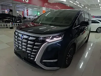 Denza Denza D9