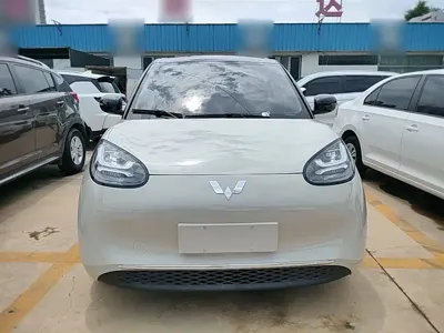 Wuling Bingo