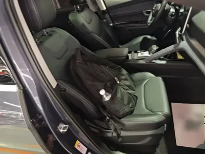 BYD Pro New Energy