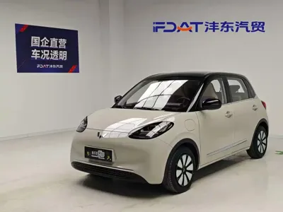 Wuling Bingo
