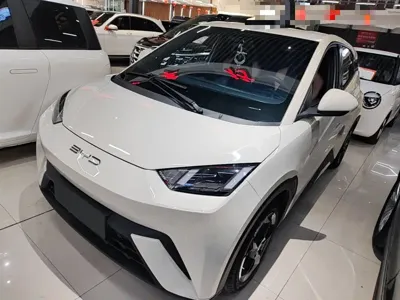 BYD Seagull