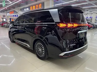 Denza Denza D9