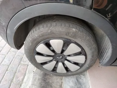 Wuling Bingo
