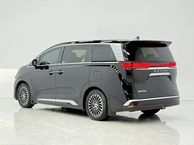Denza Denza D9