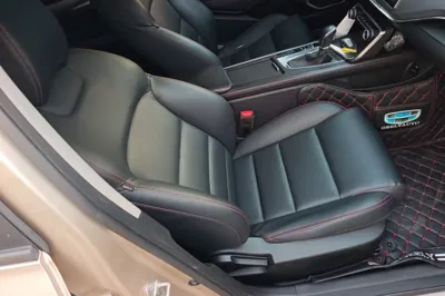 Geely Auto Binray