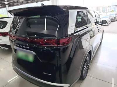Denza D9