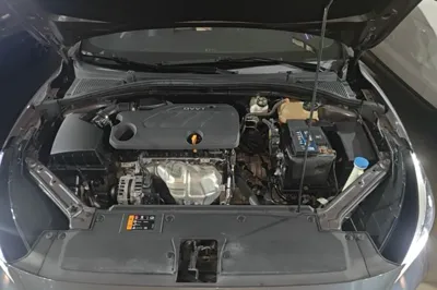 MG 5