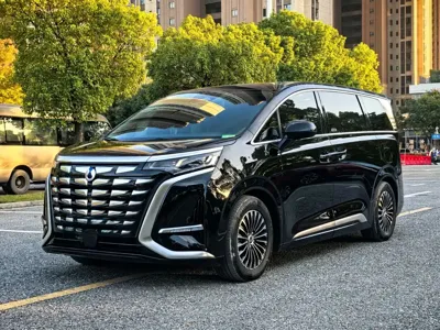 Denza Denza D9