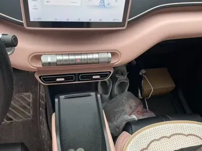 BYD Seagull