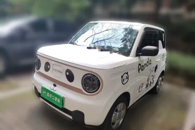 Geely Galaxy Panda