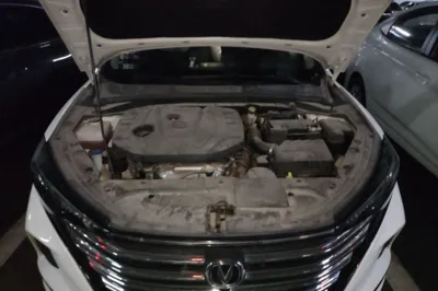 Changan Eado
