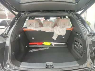 NETA Neta L