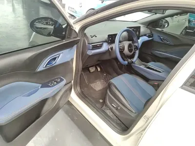 BYD Seagull